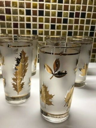 Gold Leaf Frosted Glasses Vintage 1960 ' s Mid Century Libbey 12 oz.  - Set of 8 3