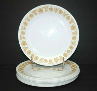Vintage Corelle Golden Butterfly Dinner Plate 10 1/4 " Set Of 10 Dish Corning Usa