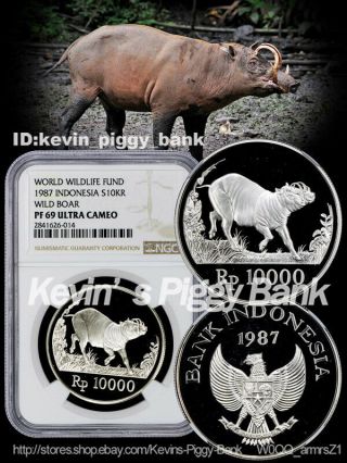 Indonesia 1987 Silver 10000 Rupiah Wild Pig World Wildlife Fund Wwf Ngc Pf 69 Uc