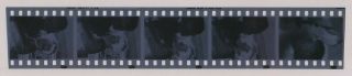 (strip Of 5) 1964 Photo Negatives Dean Martin & Kim Novak On Movie Set