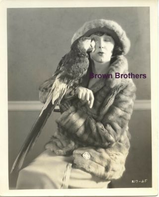 Vintage 1925 Hollywood Actress Mae Busch With Bird Publicity Photo - Brown Bros