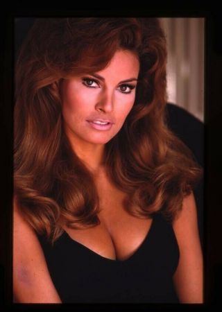 Raquel Welch Gorgeous Vivid Color Glamour Pin Up Low Cut Dress 35mm Transparency