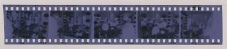 (strip Of 5) 1969 Photo Negatives Natalie Wood Sexy Actress On The Set