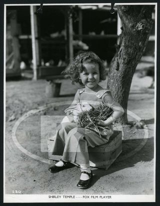 1934 Fox Film Photo By Max Munn Autrey - Shirley Temple Holding A Bunny