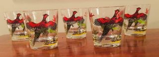 Vintage Hazel Atlas Pheasant Hunter 8 Oz.  Drinking Glass Rocks Tumbler Set Of 5
