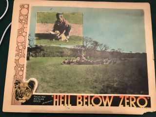 Hell Below Zero 1930 Talking Picture Epics 11x14 Jungle Lobby Baby Lion Vultures