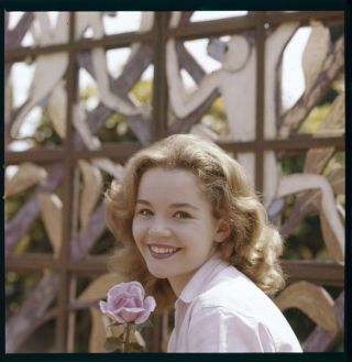 Tuesday Weld Lovely Smiling Portrait Late 1950 