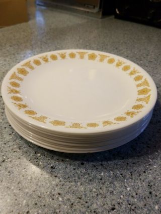 9 Vintage Corelle Corning Pyrex Butterfly Gold 7 " Plates Dinnerware