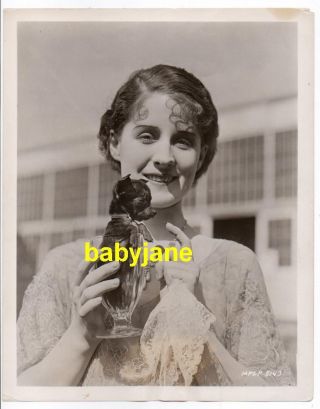 Norma Shearer Vintage 8x10 Photo 1920 