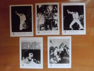 Elvis : That 