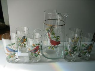 Vintage West Virginia Glass Company Song Birds Pitcher & 6 Juice Glasses Tumbler