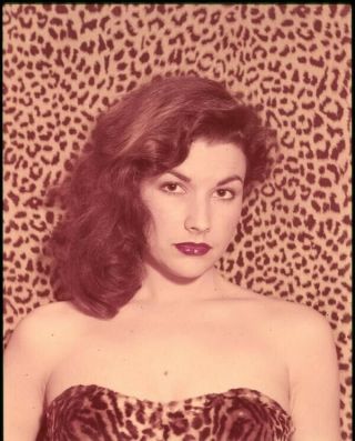 Mara Corday Striking Sultry Glamour Pin Up Leopard Print Transparency
