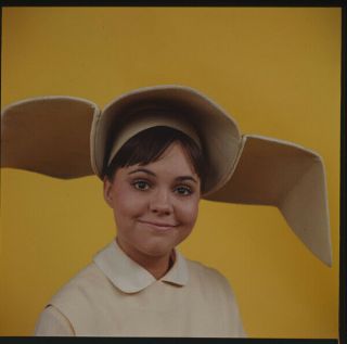 Sally Field The Flying Nun 2.  25 X 2.  25 Color Photo Transparency Slide