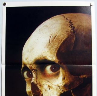 EVIL DEAD 2 DEAD BY DAWN Bruce Campbell SAM RAIMI HORROR Aus Daybill 1987 2