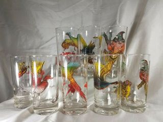 Set/8 Vintage 50s - 60s Bar Ware Glasses,  Fowl/bird/grouse/ducks/geese/pheasants