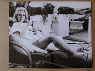 Debbie Reynolds Leggy Barefoot Portrait Photo 1964 Goodbye Charlie