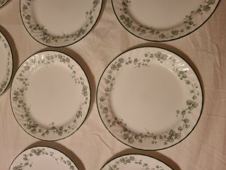Set of 9 - Corelle Callaway Dinner Plates 10 1/8 
