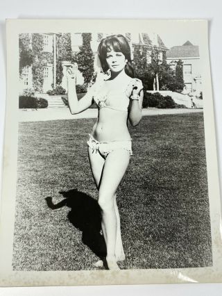 Natalie Wood White Border Bikini Sexy Glamorous Press Photograph 8x10
