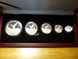 2010 Mexico 5 Coin.  999 Silver Libertad Proof Coin Set In Wood Box