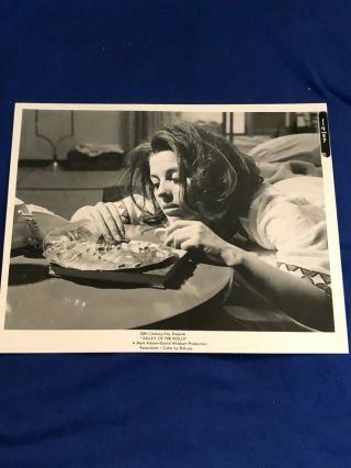 Barbara Parkins As Anne Welles Valley Of The Dolls 20th Century Fox 1967