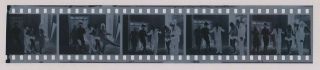 (strip Of 5) 1960 Photo Negatives Jayne Mansfield Hot Blonde Movie Set