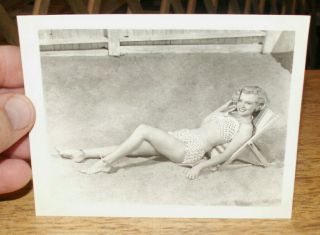Rare 1951 Marilyn Monroe Love Nest Movie Publicity Photograph