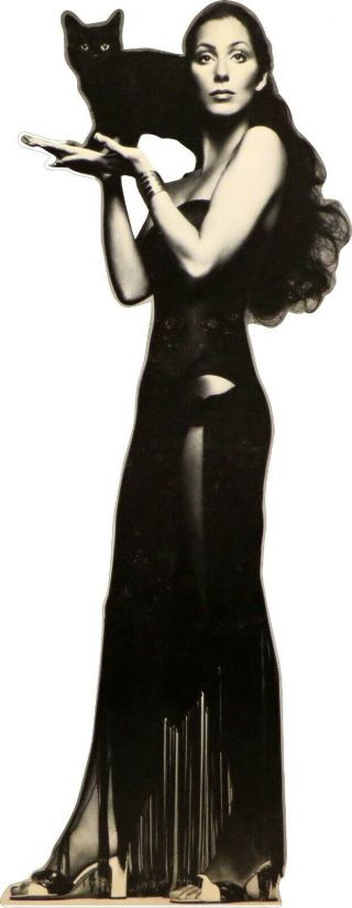 Cher - Dark Lady Black Cat 69 " Tall Life Size Cardboard Cutout Standee