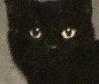 Cher - Dark Lady Black Cat 69 