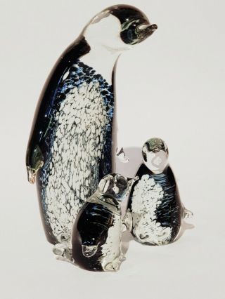 Penguins - Hand Crafted Colourful Glass Penguins By Eamonn Vereker