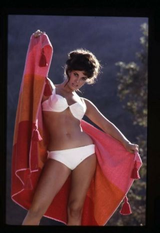 Raquel Welch Sexy Bikini Glamour Pin Up Vivid Color 35mm Transparency
