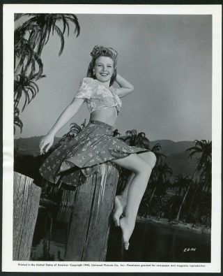 Evelyn Ankers Vintage 1943 Leggy Cheesecake Photo By Roman Freulich