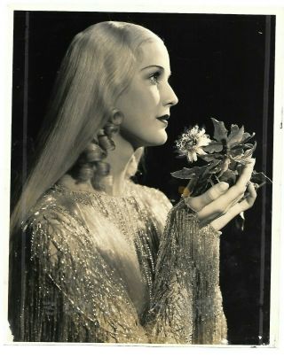 Anita Louise Portrait Orig Passion Flower 1930 Stunning Photo 208