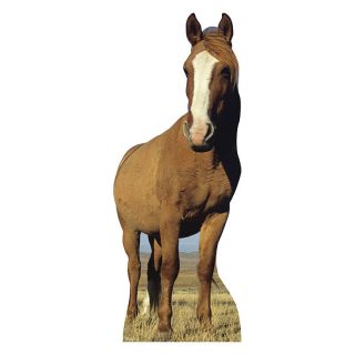 Red Dun Horse White Blaze Lifesize Cardboard Cutout Standee Standup Poster Prop