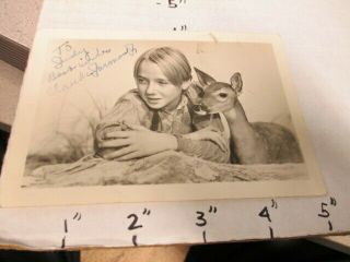 Claude Jarman Jr 1940s Child Actor Deer Movie Studio Promo Fan Photo Autographed