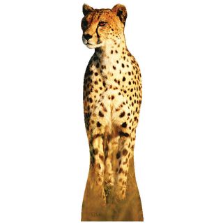 Cheetah Lifesize Cardboard Cutout Standee Standup Poster Prop Fast Cat