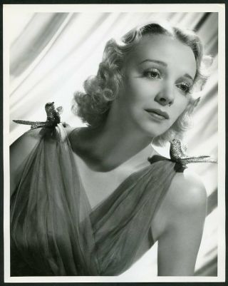 Virginia Bruce In Striking Portrait 1938 Mgm Dblwt Photo By Willinger