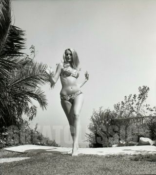 Celeste Yarnall Gorgeous Bikini Model 1967 2 1/4 Camera Negative Peter Basch
