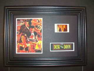 From Dusk Till Dawn Framed Movie Film Cell Memorabilia Compliments Poster Dvd