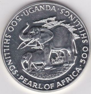 Uganda 1981 Silver 500 Shillings Elephants Mintage 700 Rare