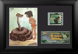 Jungle Book 1967 Animation Movie Walt Disney Framed Movie Film Cell & Photo