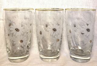 Vintage Libbey Clear Drinking Glasses White Daisies Gold Tone Rim 12 Oz Set Of 3