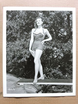 Ann Robinson On A Diving Board Leggy Barefoot Swimsuit Pinup Portrait Photo 1958