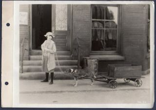 Colleen Moore Silent Film Actress W.  Dog Cart 1926 Vintage Orig Photo Lb Keybook
