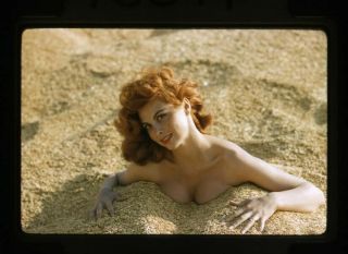 Tina Louise Breathtaking Vivid Color Exotic Glamour Pin Up Transparency