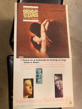 movie poster,  Splendor in the Grass,  Natalie Wood,  Warren Beatty,  film 3