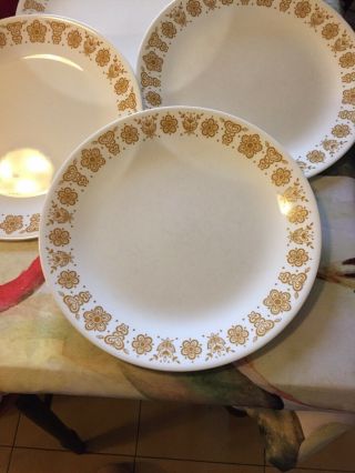 Set Of 9 Corelle Butterfly Gold 10 1/4 " Dinner Plates,  1970 