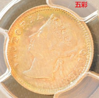 1901 China Hong Kong 5 Cent Victoria Silver Coin Pcgs Ms 63