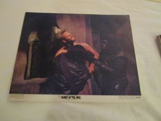 Planet Of The Apes,  Heston,  Lobby Card 6 1968