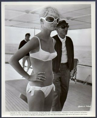 Judy Geeson Busty English Actress Bikini Hammerhead Vintage Photo British Film