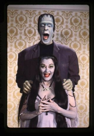 The Munsters Fred Gwynne Yvonne De Carlo Nbc Stamped 35mm Transparency